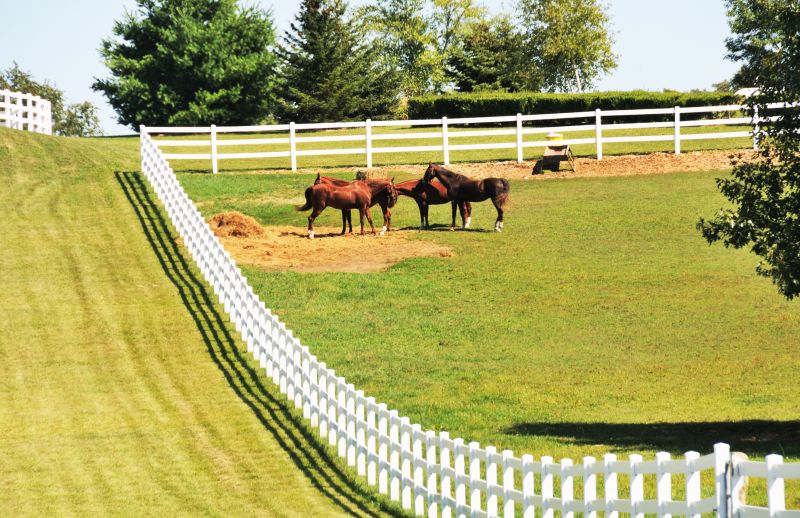 Equine Fence Repair